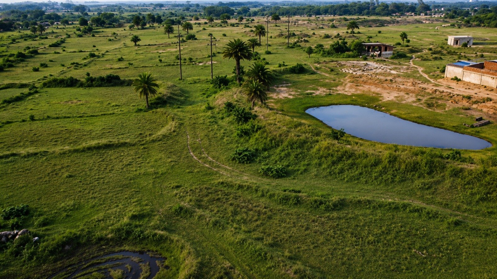 6 Acres plot